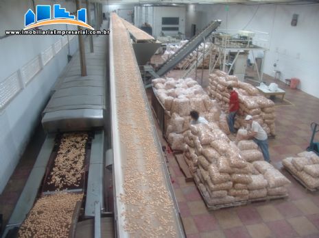 Linha automatizada para produção de biscoitos capacidade 800 kg / h