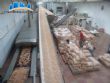Linha automatizada para produo de biscoitos capacidade 800 kg / h